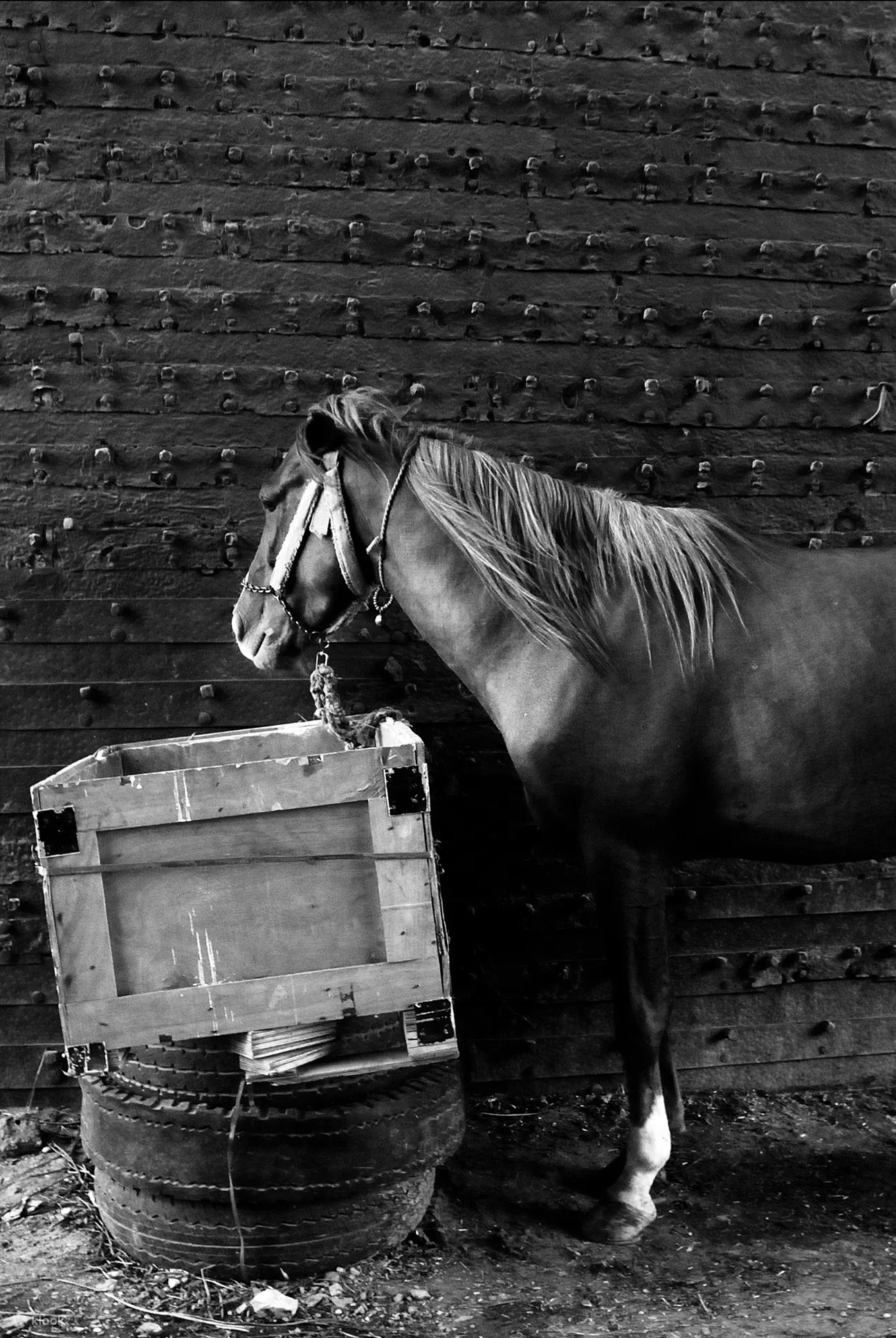 Photography Workshop - Find Your Direction | Practical Photography Experience | Wan Chai